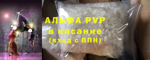 прущие грибы Осинники