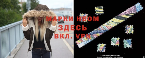 прущие грибы Осинники