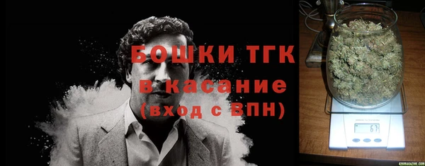 дмт Нягань