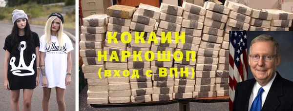 прущие грибы Осинники