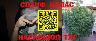 гашик Гусиноозёрск