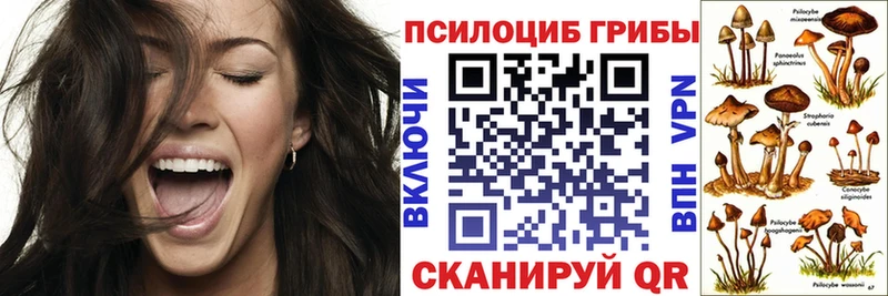 ссылка на мегу ONION  Рузаевка  Псилоцибиновые грибы Psilocybine cubensis 