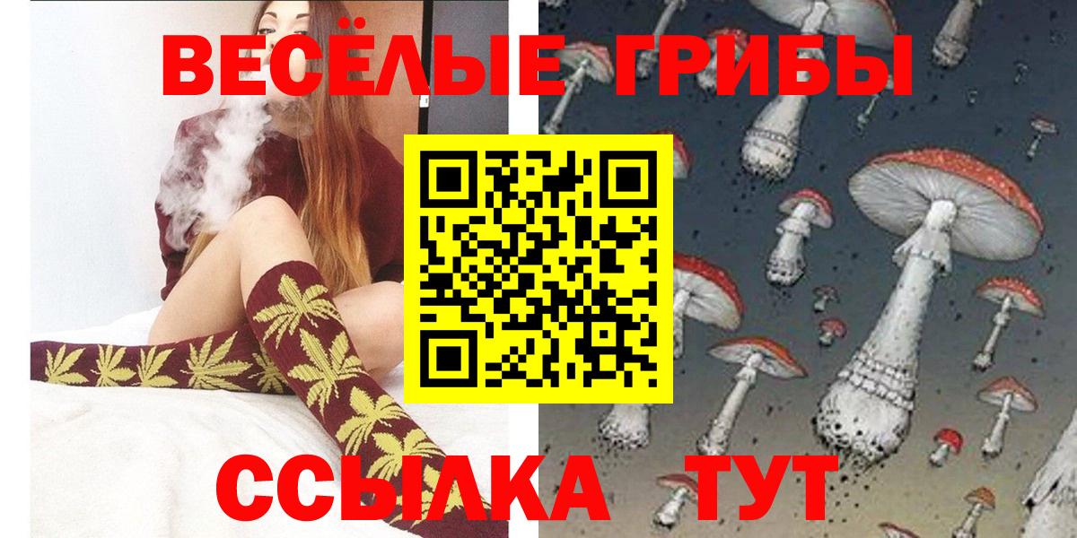 Псилоцибиновые грибы Cubensis  Вход с VPN  цены   Рузаевка 